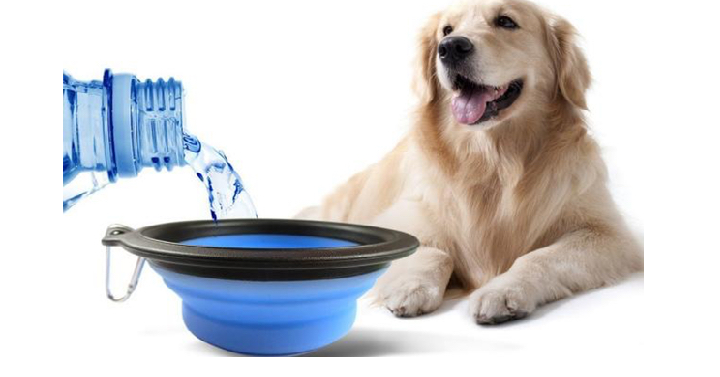 Pet Collapsible Travel Feeding Bowl/Water Dish Only $3.99 Shipped!