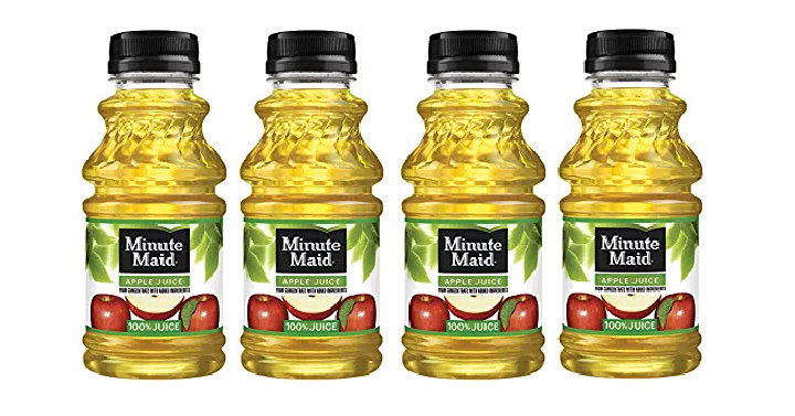 Minute Maid Apple Juice 10oz Pack of 24 Only $18.99 Shipped! (That’s $.79/Bottle)