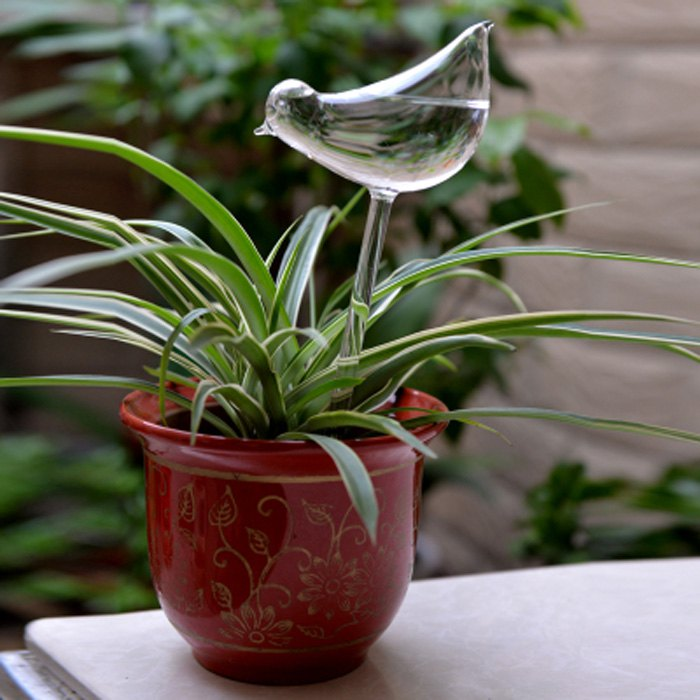 Glass Bird Automatic Drip Watering System Only $2.52 Shipped!
