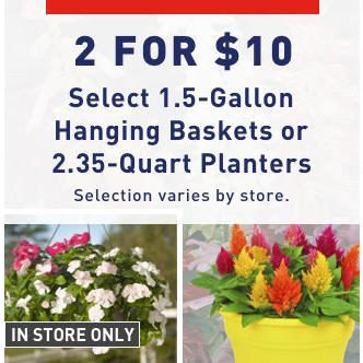 Lowe’s Hanging Baskets & Planters Only $5.00 Each!