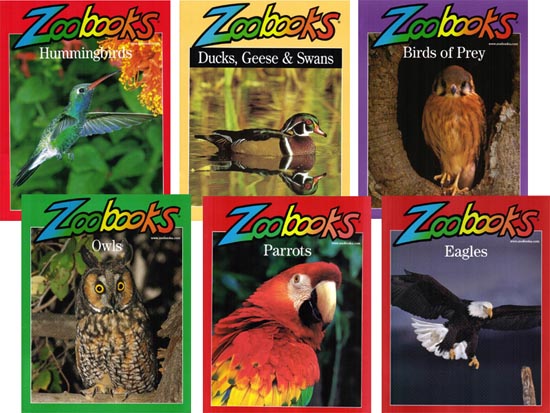 Get a FREE Issue of Zoobooks!