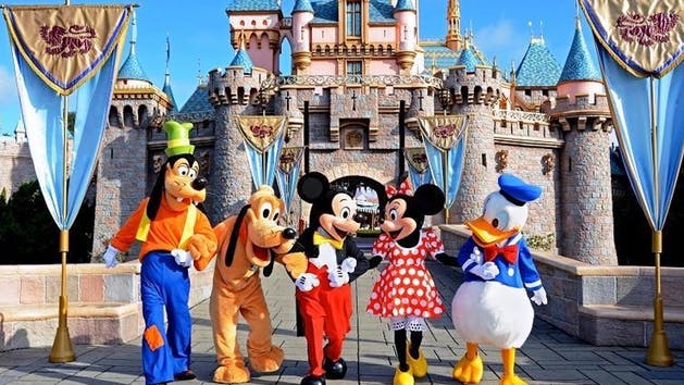 HURRY!! Order SOON For $17 Off Disneyland Park Hopper Tickets!!
