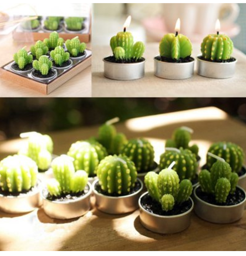 Succulent Plants Shape Candles 6-Pieces Just $4.00 Shipped!