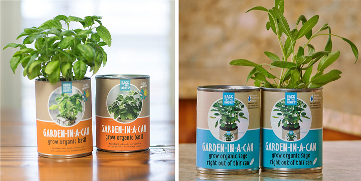 Organic Garden In A Can Herbs Only $2.84 Shipped!