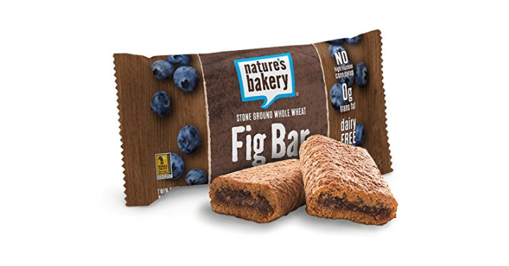 Nature’s Bakery Whole Wheat Fig Bar, Blueberry, 12 Count Box Only $3.12 Shipped!