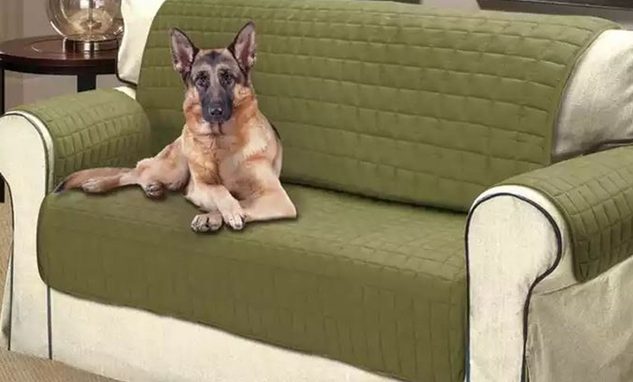 Quilted Pet Protector Furniture Slip Covers $17.49 or LESS! FREE Shipping!!