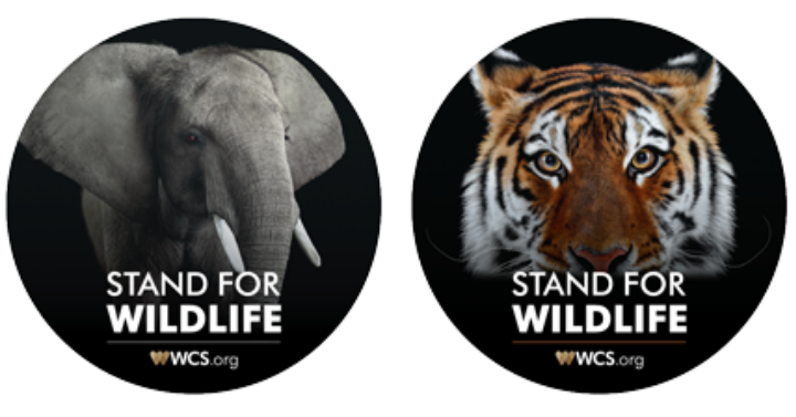 Free Stand for Wildlife Animal Sticker!