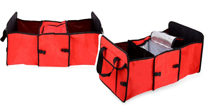 Collapsible Fabric Storage Box Car Trunk Organizer Only $9.99 + FREE Shipping!