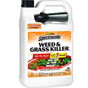 Amazon: Spectracide Weed & Grass Killer2 1 Gallon Ready to Use Only $4.90!