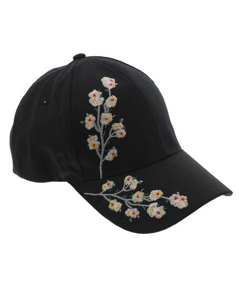 Cents of Style – 2 For Tuesday – 2 Ball Caps for $20! FREE SHIPPING!