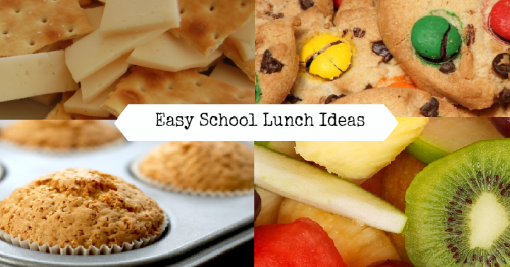 School Lunches Made Easy- Mix & Match These Lunch Ideas