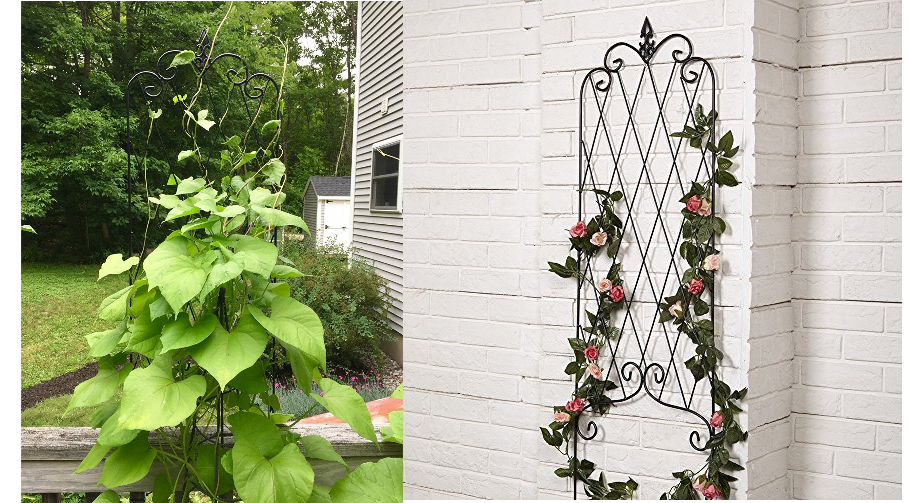 Super Pretty Garden Trellis Only $12.59!