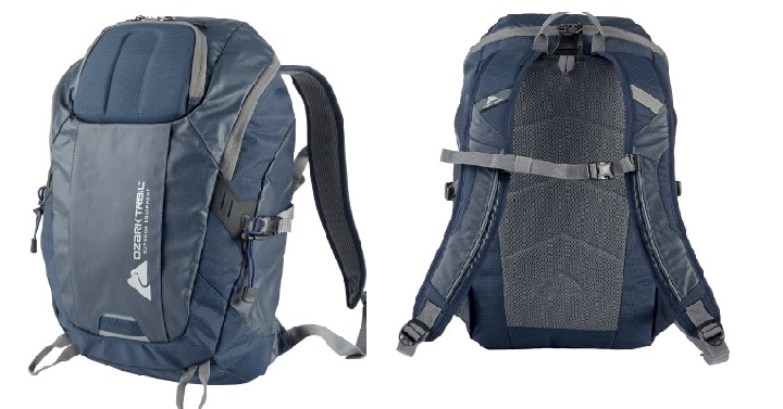 Ozark Trail Silverthorne Backpack Only $13.00! (Reg. $29.95) Great 72 Hour Kit Bag!