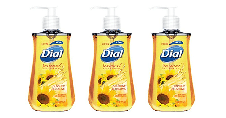 Amazon: Dial Liquid Hand Soap (Sunshine Blossoms) Only $.93 Shipped!