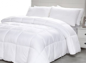 White Equinox Comforter (Queen) $29.97