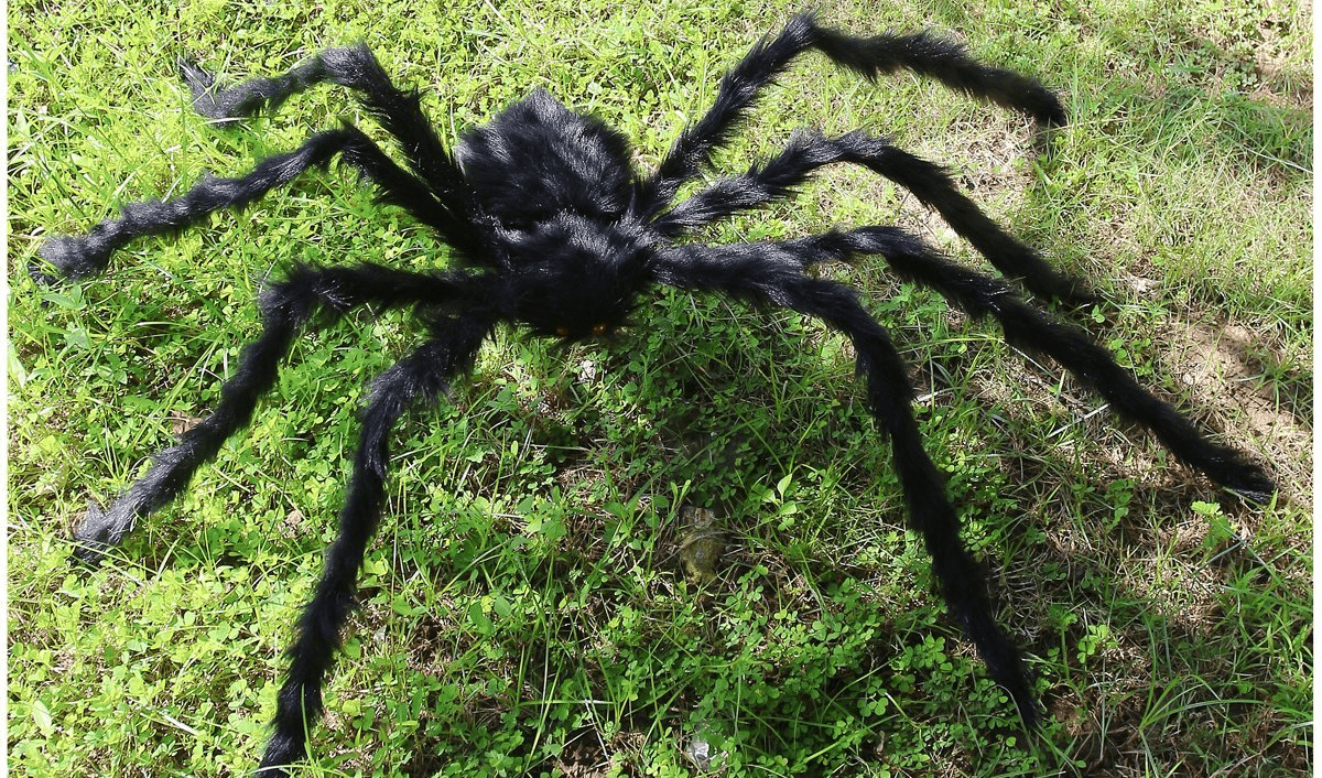 HUGE 5 Ft Hairy Spider Decoration Only $9.99!! BONUS WEB!!