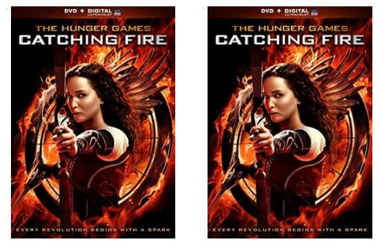 The Hunger Games: Catching Fire (DVD/Digital Copy) – Only $3.99! *Add-On Item*