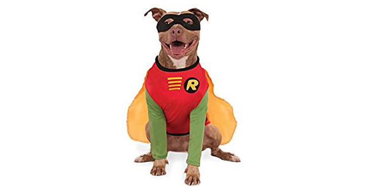 Up to 35% Off Halloween Costumes & More!