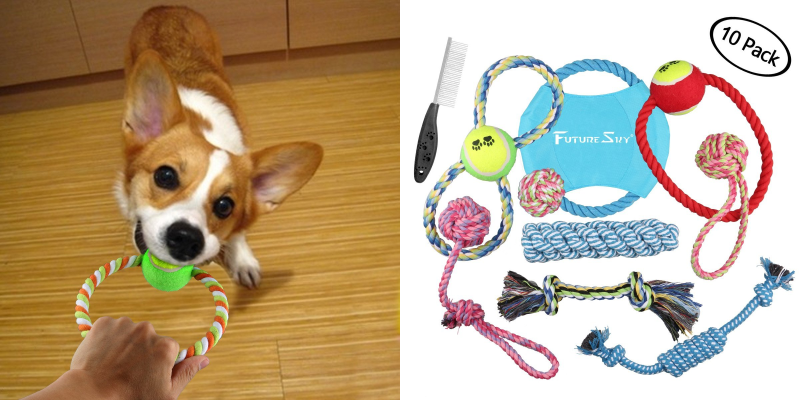 10-pack of Dog Toys and Grooming Supplies Just $10.00!!