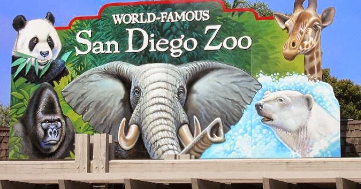 The Best San Diego Attraction are FREE for Kids in October!