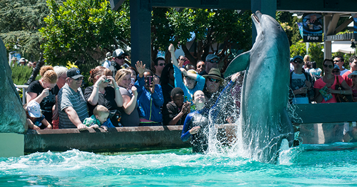 Get a 7-Day Sea World ticket for the price of a 1-Day ticket from Get Away Today!
