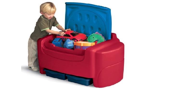 Sort ‘n Store Toy Chest Only $34.18! (Reg. $64.95) Great Reviews!