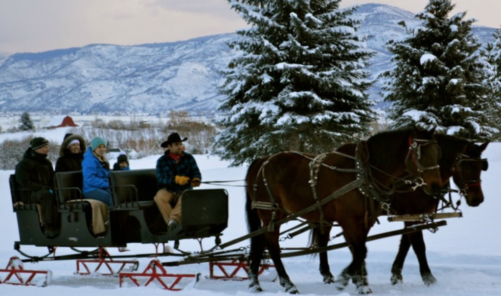 20% Off Sitewide at Living Social! Save On Sleigh Rides & More!