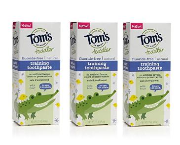 Tom’s of Maine Toddlers Fluoride-Free Natural Toothpaste in Gel (3 Count) – Only $6.81!