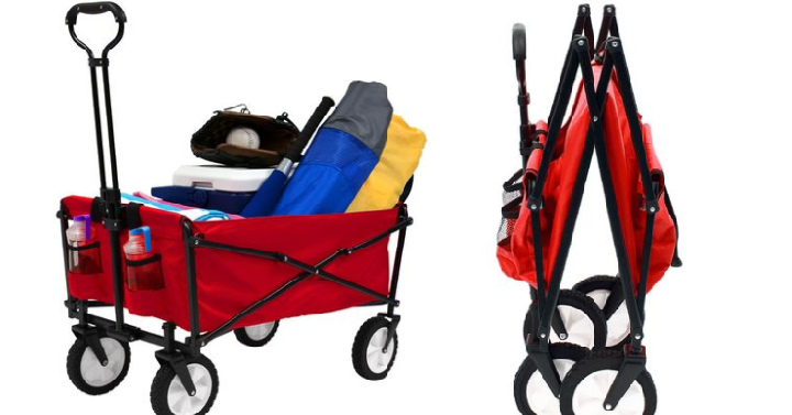 Sienna Foldable Sport Wagon Only $39.99! (Reg. $79.99) Early Black Friday Deal!