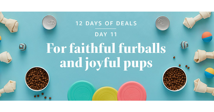 Amazon’s 12 Days of Deals! Day Eleven! For Faithful Furballs and Joyful Pups!