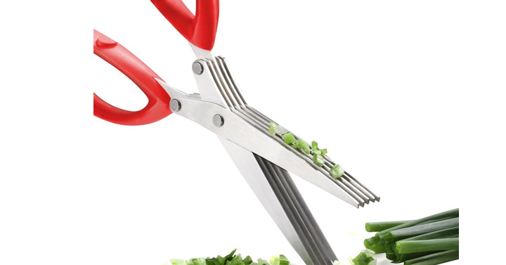 Herb Scissors – Stainless Steel 5 Blade – Just $10.99!