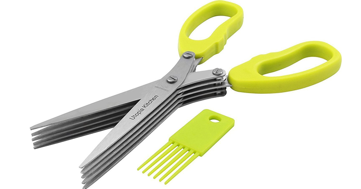 Stainless Steel 5 Blade Herb Scissors – Just $4.99!