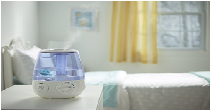 Warm Mist Vs. Cool Mist- Which Humidifier is Better?