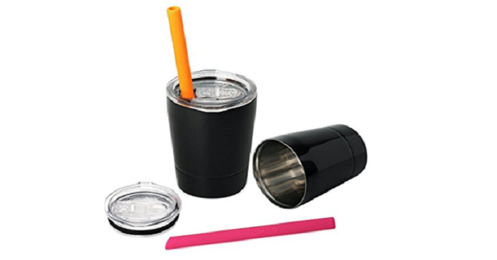 Kids 2-pack Double-walled Stainless Steel Tumblers for Just $15.99!