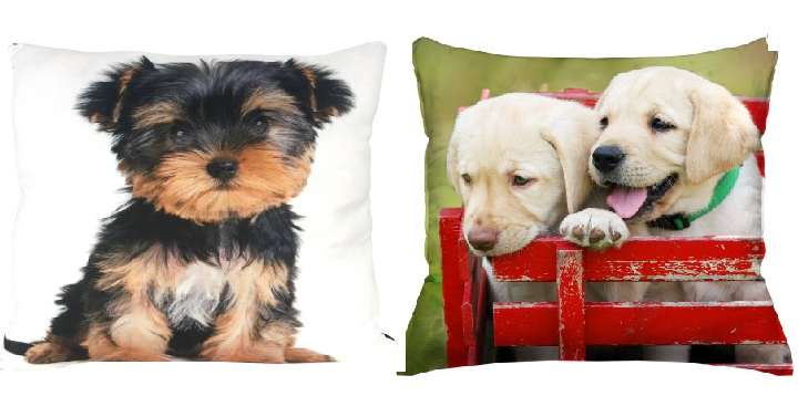 Super Cute Pet Pillows for Only $2.00 Each! (Reg. $8.88) 7 Different Options to Choose From!