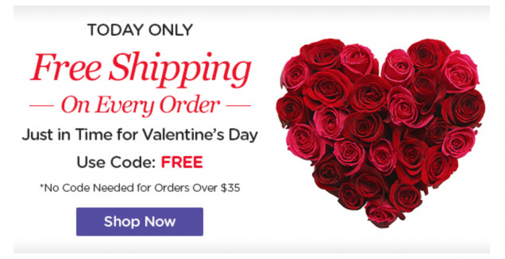 FREE Shipping On All Orders TODAY ONLY At Living Social!