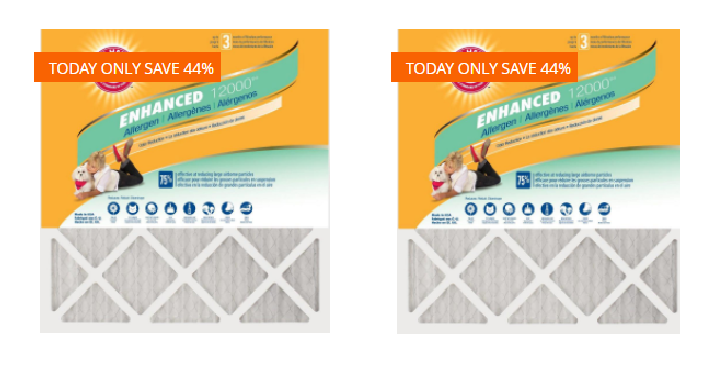 Home Depot: Arm & Hammer 12-Pack Air Filters Only $54.99 Shipped! (Reg. $99)