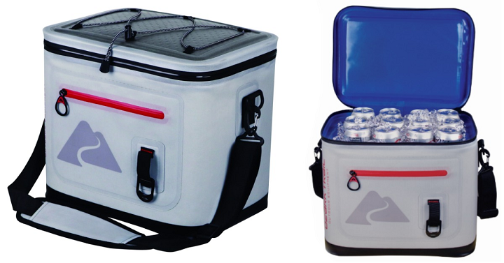 Ozark Trail 20 Can Leaktight Cooler Only $24 at Walmart!