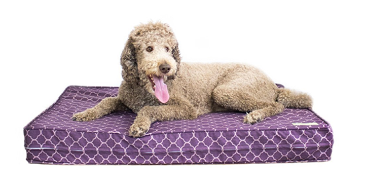 Save 25% on Orthopedic Dog Beds Made in the USA!