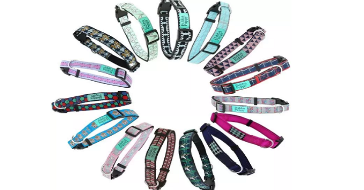 Cute Patterned Dog Collars for Only $6.99! (Reg. $19)