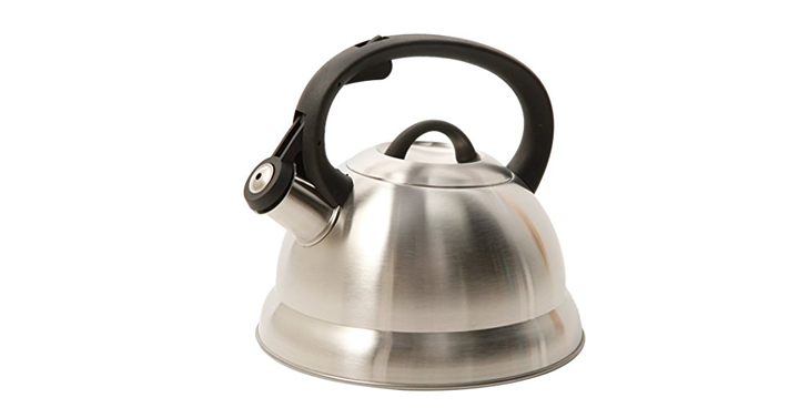 Flintshire Stainless Steel Whistling Tea Kettle – Just $8.63!