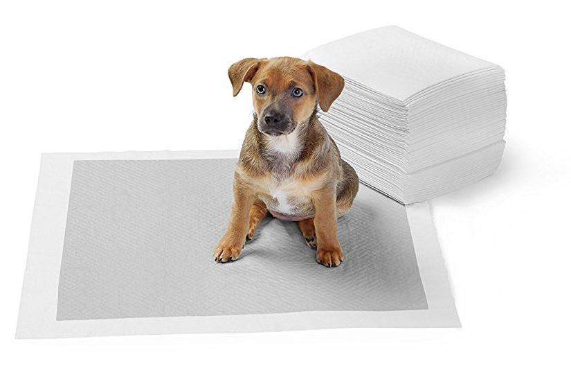 AmazonBasics Carbon Pet Training and Puppy Pads, 40-ct Only $5.71!