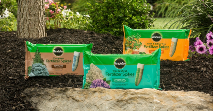 Miracle-Gro Fertilizer Spikes (12 Pack) Only $6.48 Shipped!