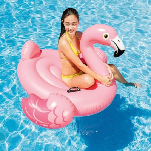 Intex Inflatable Flamingo Ride On Float Just $10.99!