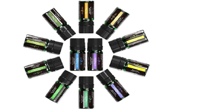 Essential Oils Top 12 Pure Aromatherapy Essential Oil Kit Only $14.99! (Reg. $60)