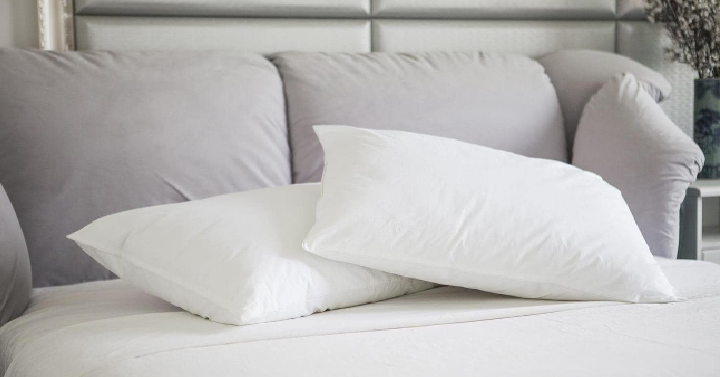 St. James Home Natural Memory White Duck Pillows (2 Pack) Only $9.88! That’s Only $4.94 Each!