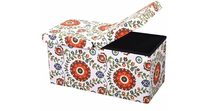 Otto & Ben 30″ Storage Ottoman with SMART LIFT Top in Retro Floral – Just $20.15!