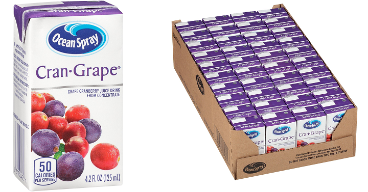 Ocean Spray Juice Drink (Cran-Grape) 40 Count Only $12.04 Shipped!