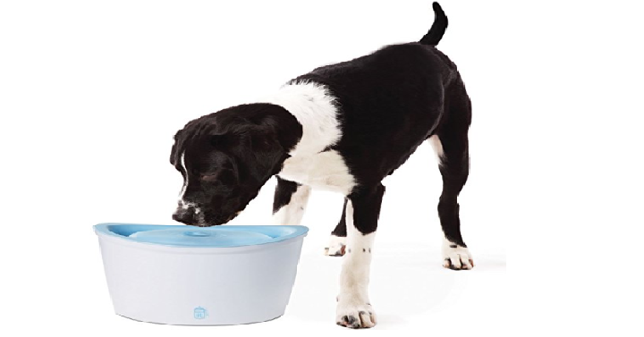 Dogit Design Fresh & Clear Pet Fountain Only $12.49! (Reg. $20) Prime Members!