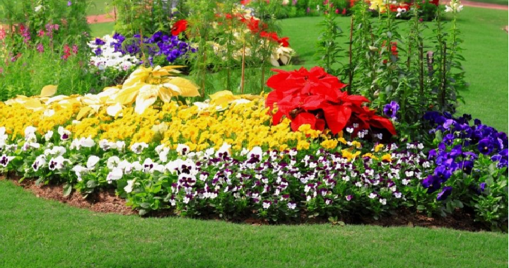 5 Tips For a Successful Flower Garden